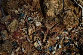 黄埔挖水晶探点情况分享，发现了黑幽灵水晶图片