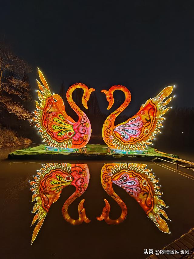 洛阳正月十五赏灯最佳处：隋唐遗址植物园