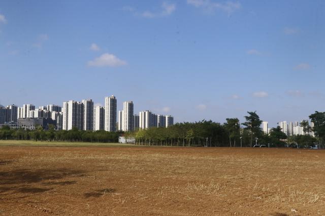 你好柳州热爱音乐节“拿捏”指南！龙湖吃住玩攻略打包完毕→