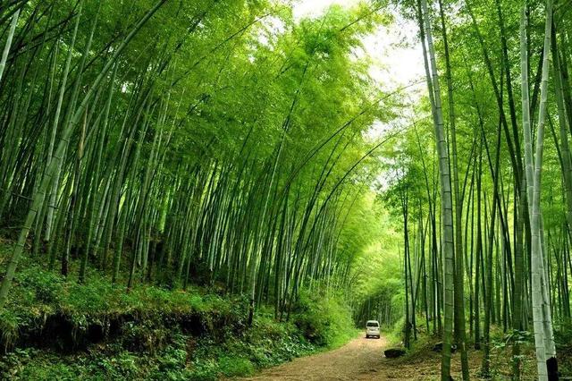 游在鹰潭｜中式美学深度游！山水、烟火、古建玩法全解锁，承包你的诗意周末