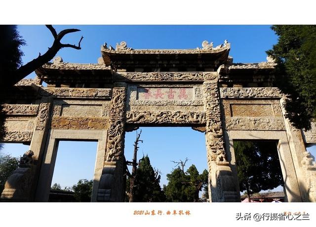 山东行游影记（225）—曲阜孔林（一）