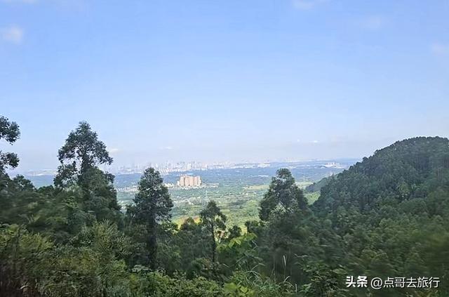 成都龙泉山冷门徒步路线，大片桉树林超美，不要门票，野趣十足！