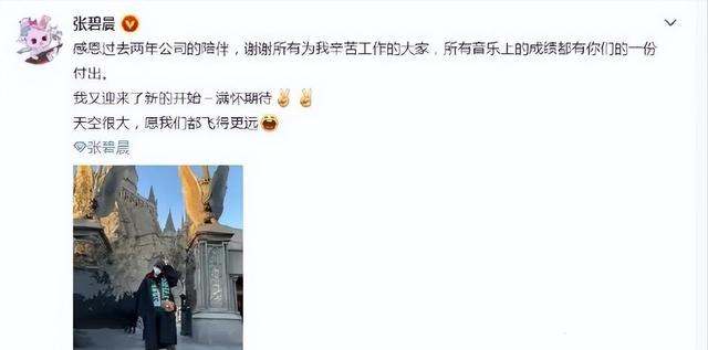 6亿资产被前夫卷走，海豚音天后沦为“网红”，但她却不在乎