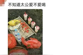 今年的清明祭祖搞笑程度100%图片