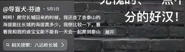 带导盲犬爬泰山的夫妻被网友批评，导盲犬芬迪看着非常累