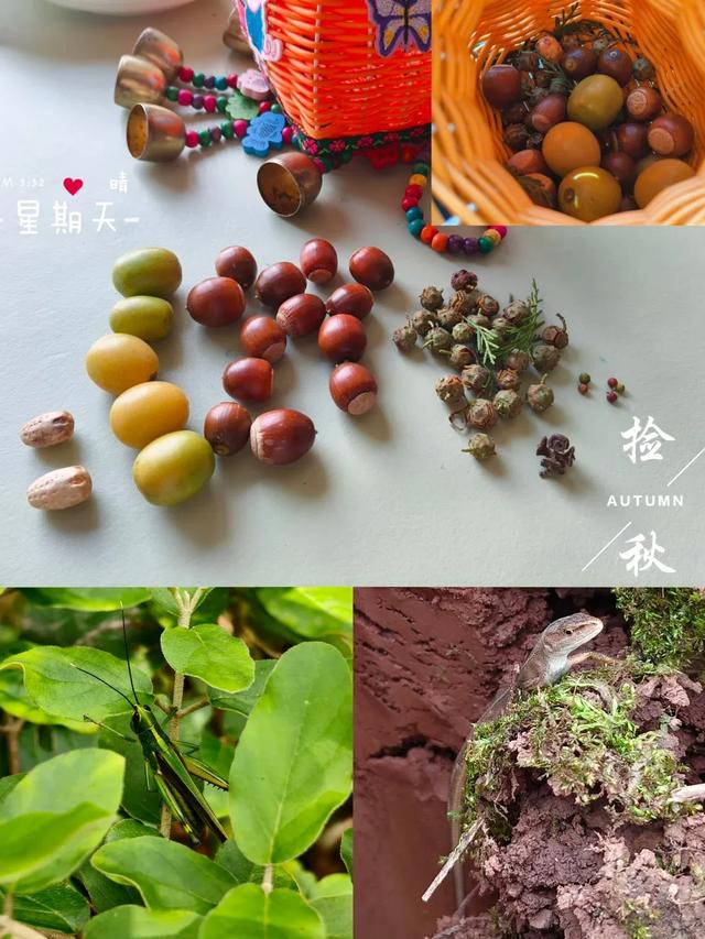 收藏！成都近郊0.5h亲子徒步天花板，没有之一！