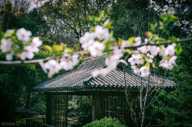 上海神秘小岛逆袭！从无人问津到3天10万人打卡，你愿住这里吗？
