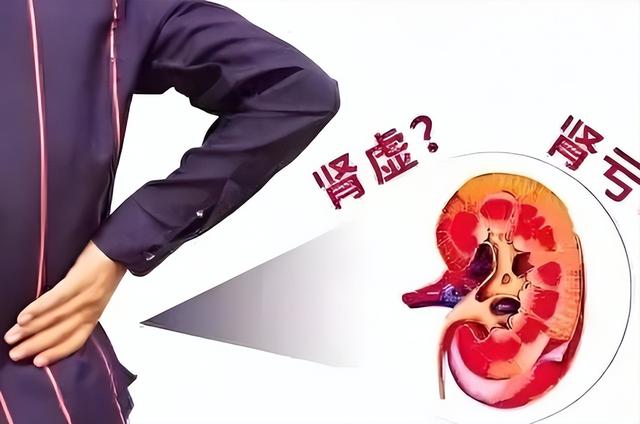建议男人不管有钱没钱，这8种“黄金菜”多常吃，补肾壮腰强筋骨