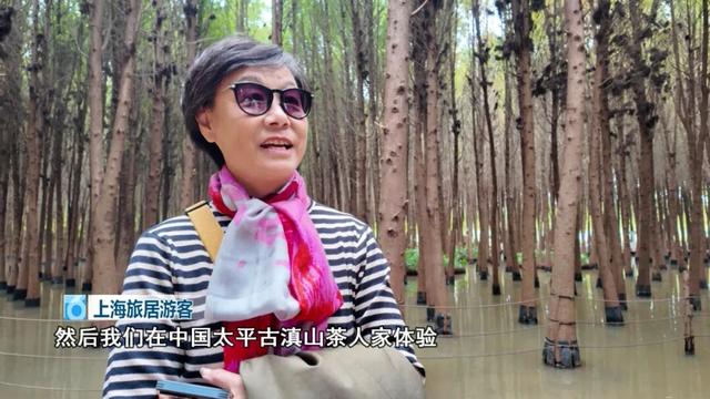 一下飞机，上海阿姨们就被昆明暖到了，除了气候更让她们欣喜的是......