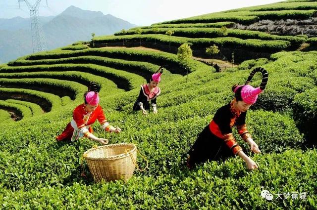 宋轶畲族“凤凰装”美出圈！带你打卡福建的宝藏畲村
