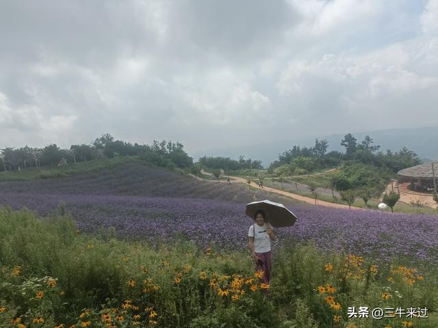无为在歧路，齐山一块八