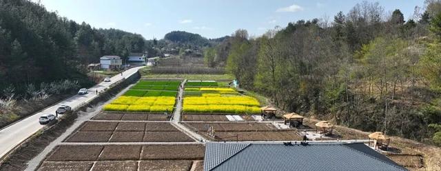 39项！宁强“双节”文旅活动出炉→