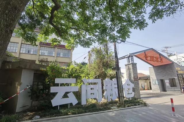 瞒了70年!上海粮仓真相:没有它,一半人得饿肚子!