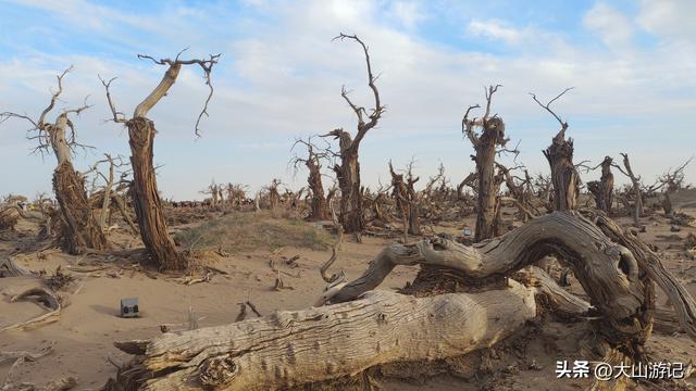 2025国庆西北自驾游（3）：黑城弱水胡杨风景区