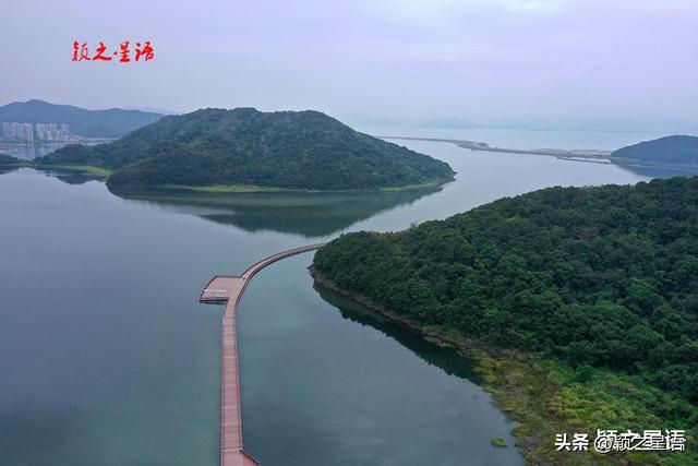 天妃之戒：宁波顶流网红景观，横空出世