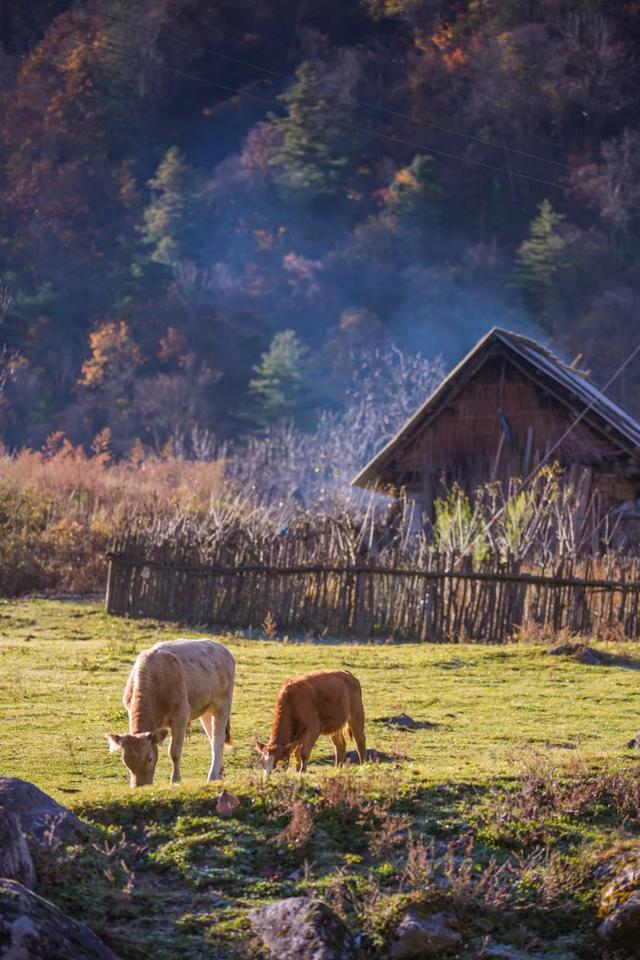 赏秋正当时！自驾来汉中，赴一场秋日视觉盛宴~