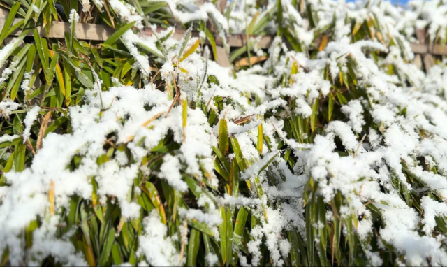 峨眉山这种级别的秋景，我愿称之为饱和度战神