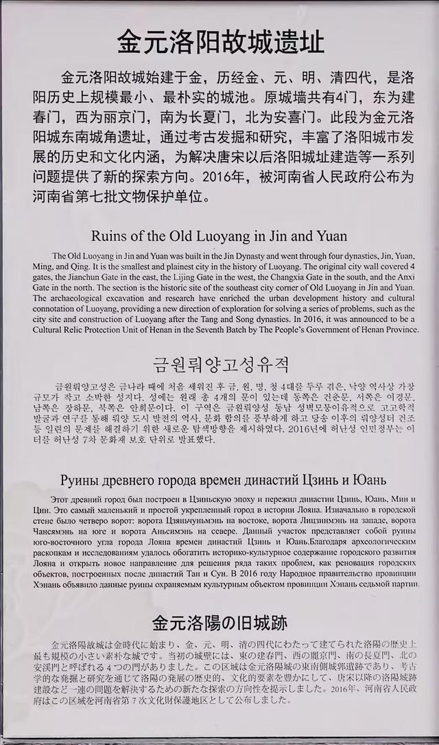 雨中寻洛邑：一座古城的千年回响