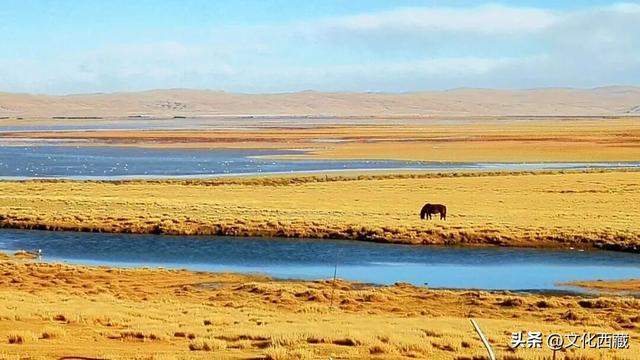 西藏只有坐上火车才能看到的湖泊！却是无数人的入藏第一湖！
