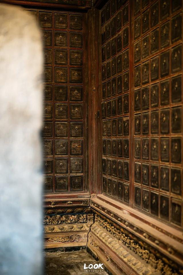 北京最新秋日打卡地 · 再看要等明年