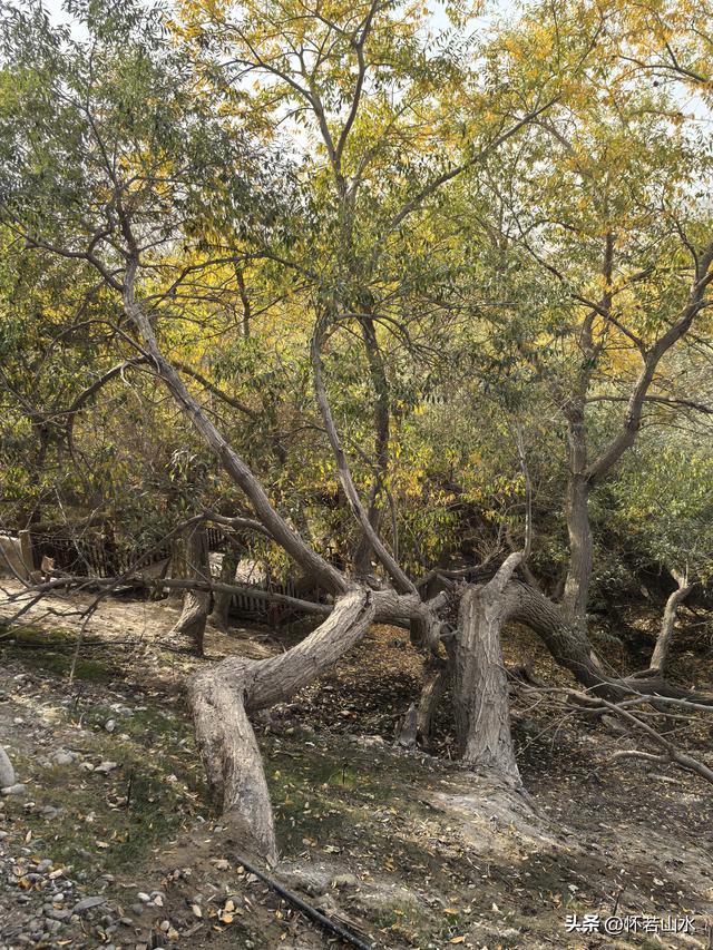 2025环南疆沙漠铁路背包自由行日记(3)---新藏公路零起点叶城打卡