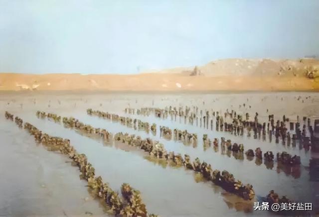 一座城，45年的海阔天空