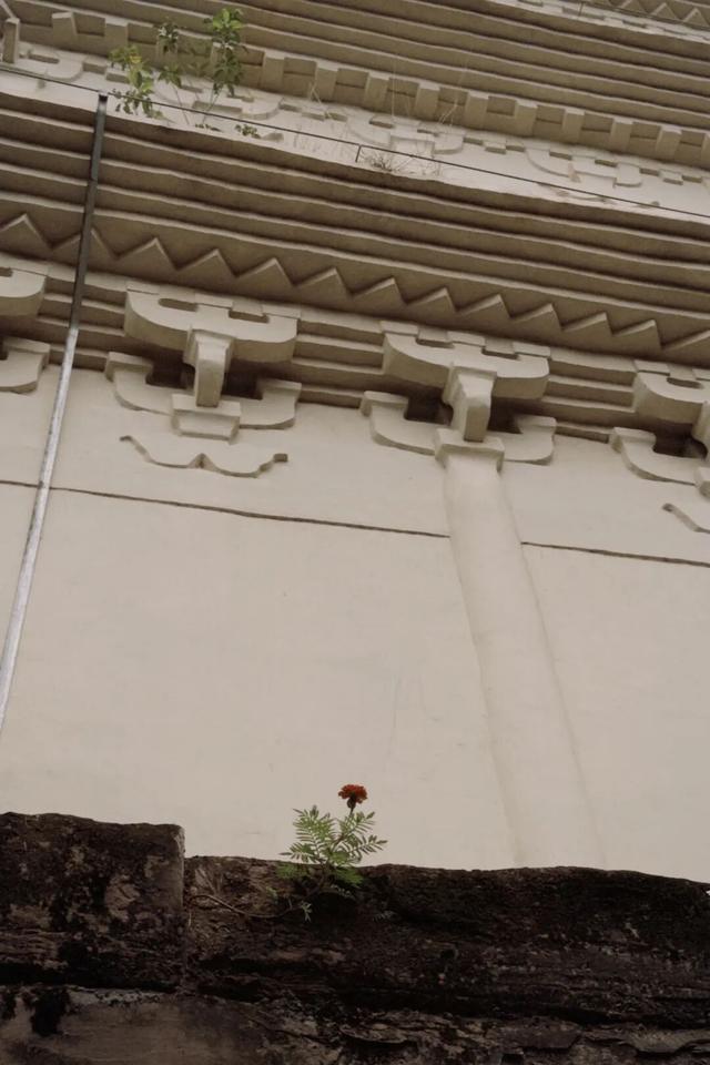 从成都出发，在龙泉山东麓邂逅一座千年场镇的温柔