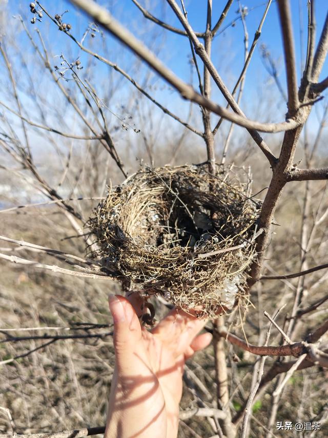 周末登山---红山寨