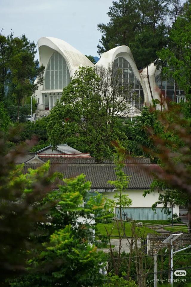 当天来回！动车40min直达冷门吸氧地，竹海徒步戏水钓鱼！物价感人、地道风味好吃到爆！