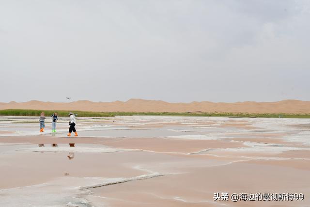 海边游记｜沙海狂飙与绿洲寻踪：内蒙古腾格里沙漠一日“历险记”