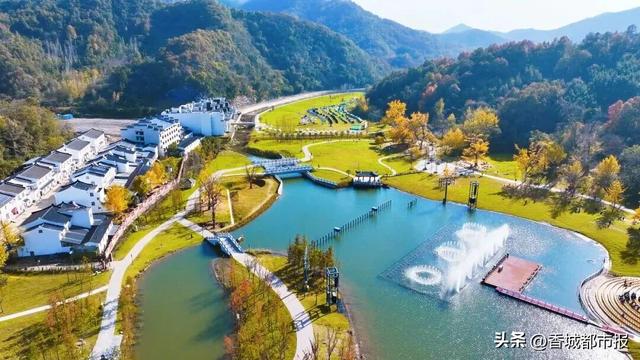 一叶破局 全域出圈——千年银杏谷秋季爆火的背后