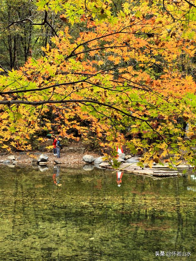 2025辽宁赏秋之旅日记(2)——游览丹东蒲石河森林公园