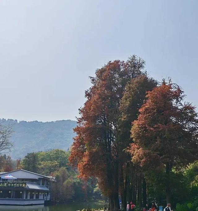 独生子女补贴金到账啦