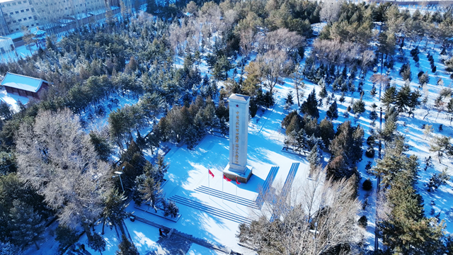 雪后枣乡 如诗如画#祁连山下是我家##厚道甘肃#