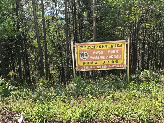 南京江宁四径山一日郊野徒步