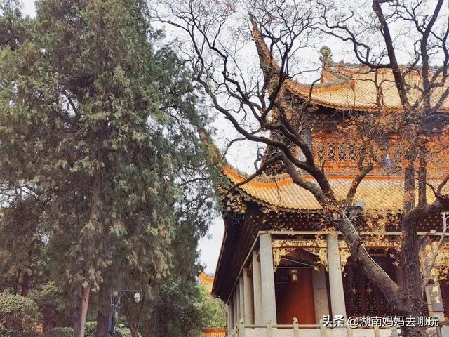 2H直达长沙周边的“长白雪山”！带娃登高赏雾凇超欢乐