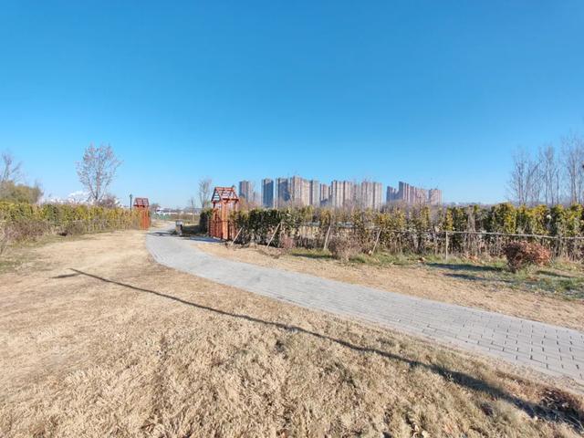 德州城西“花园营地”怎么不见了？