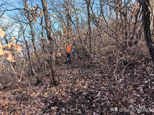 长城徒步之96：赤城上堡村至红泉沟村长城，赏长嵯之落日