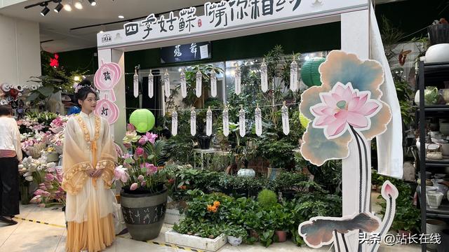 “荷”其浪漫！姑苏区开展“荷诞日”主题文化活动