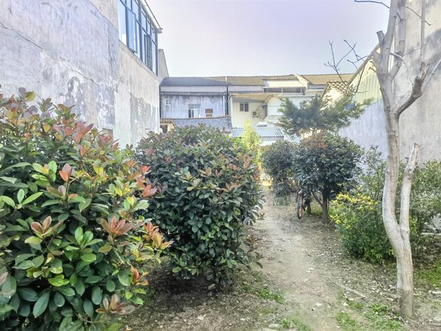 表弟严少军在乡村慢生活中的独特之处值得肯定和推广