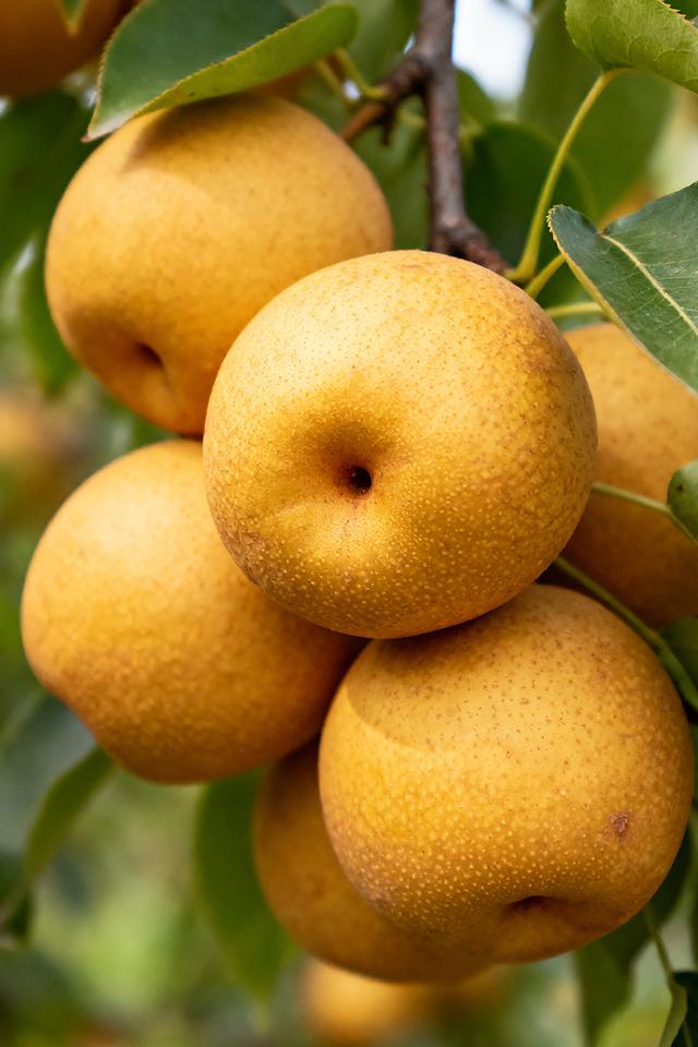 春夏秋冬，四季轮回，美景交替，沉醉人间