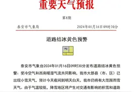 大范围雨雪！刚刚，泰安发布重要天气预报！积雪、道路结冰，请注意防范！图片
