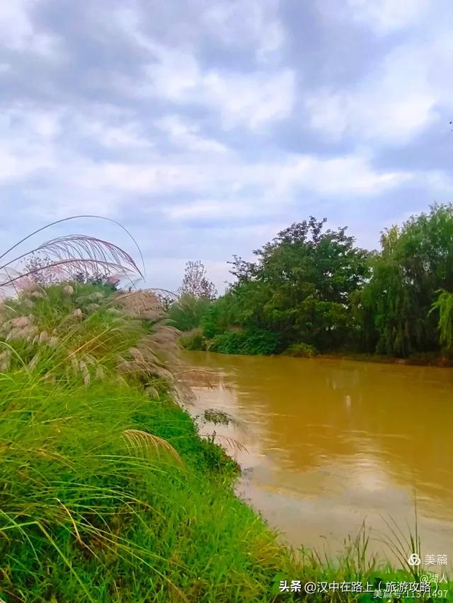 秋雨中的汉中湿地