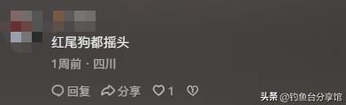 无人捡？四川一河岸上全是“红尾”野生淡水鱼！根本数不清！