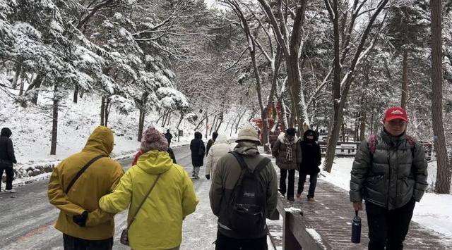 绝美雪景+免票福利！千山景区人气旺