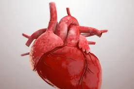 辅酶Q10是什么？中老年人到底需不需要补充？本文为你说清楚图片