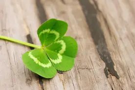 “人没本事，一看便知”，没本事的人大多都有三个特征，一语命中图片