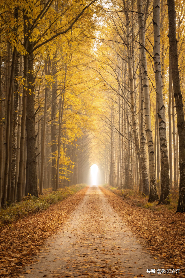 这才叫风景如画，太美了！