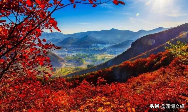 被淄博宠坏了！2026“爱你老己”，就照这样来🧡