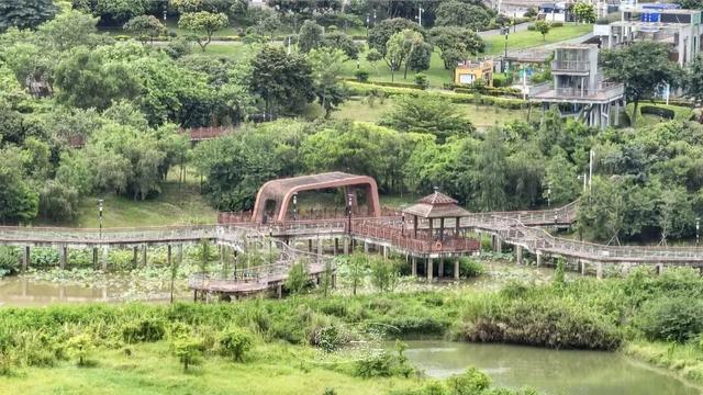 活力宝安城区指南｜山海蓝绿瞬间：山水连城，绿动宝安！